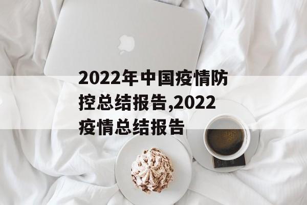 2022年中国疫情防控总结报告,2022疫情总结报告